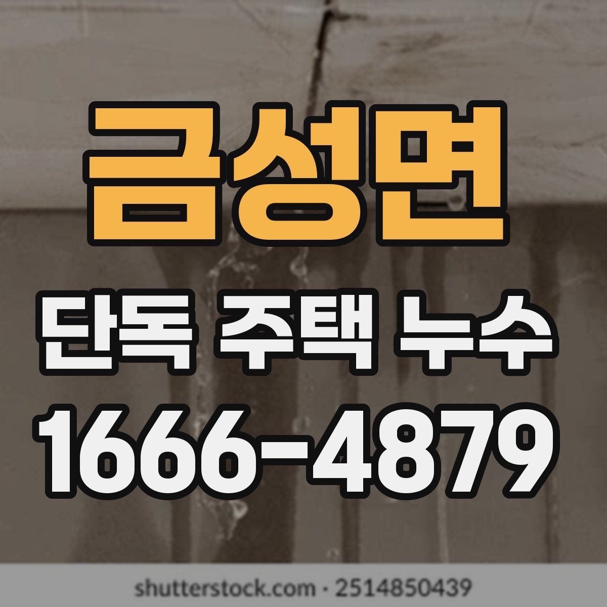 금성면 단독 주택 누수