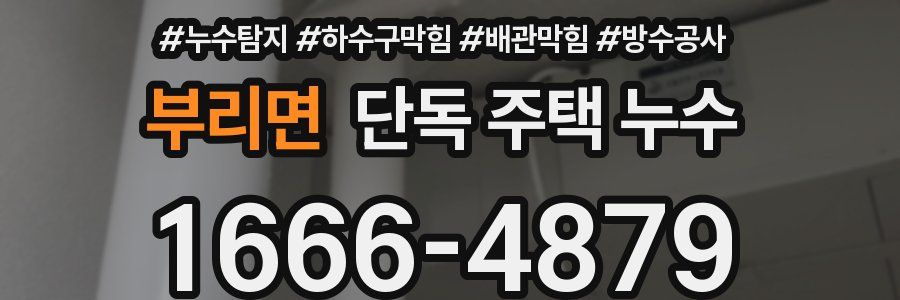부리면 단독 주택 누수