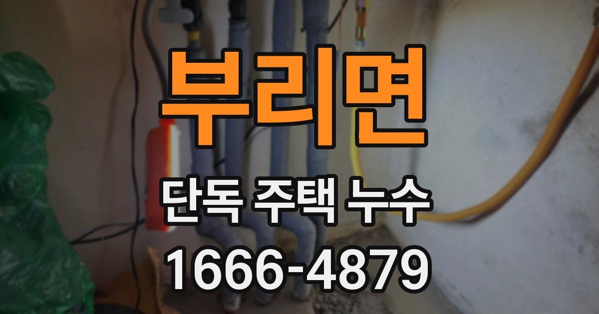 부리면 단독 주택 누수