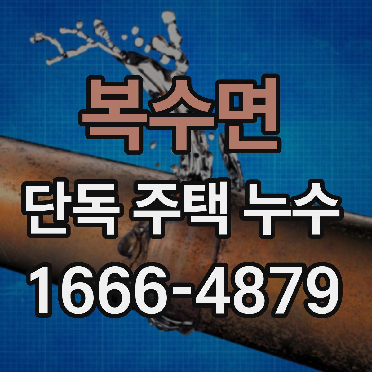복수면 단독 주택 누수