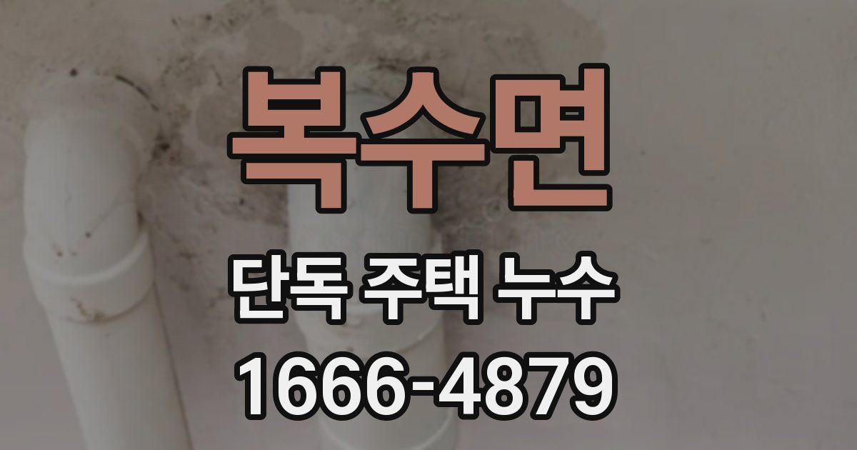 복수면 단독 주택 누수