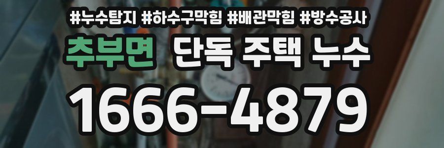 추부면 단독 주택 누수