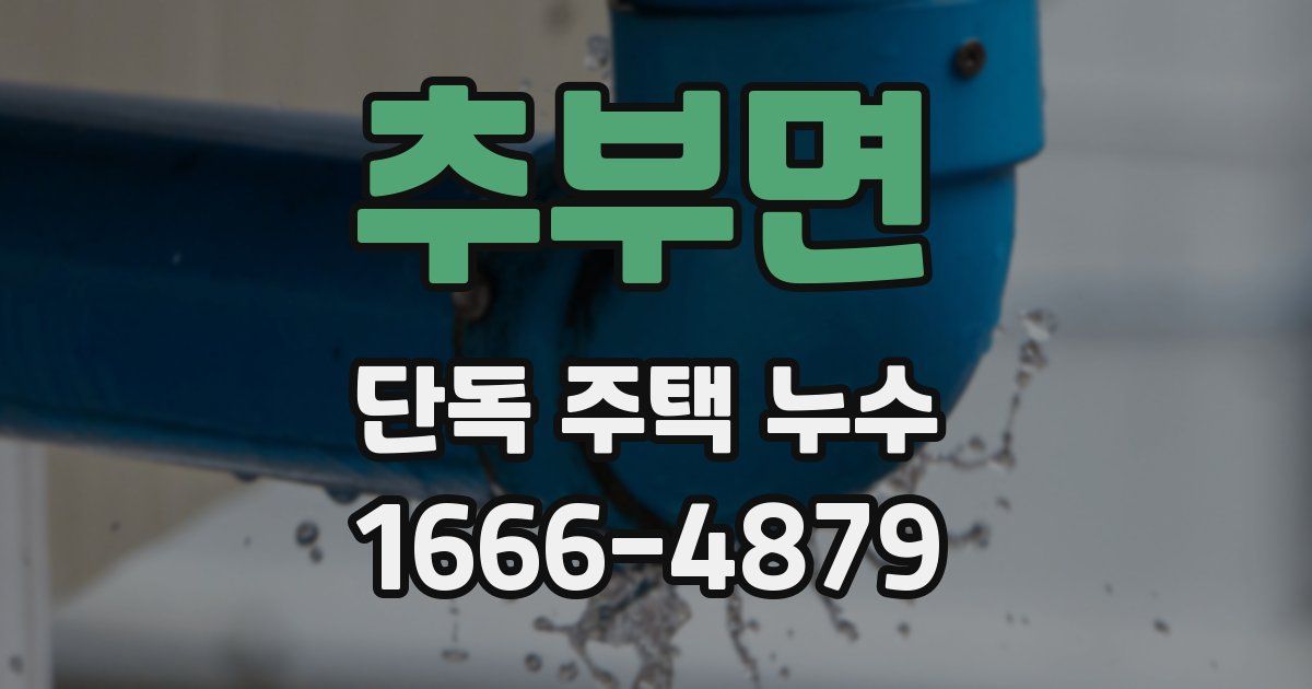 추부면 단독 주택 누수