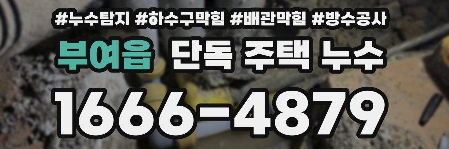 부여읍 단독 주택 누수