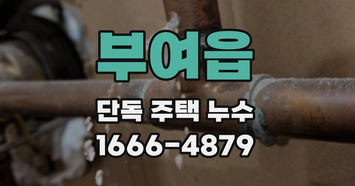 부여읍 단독 주택 누수