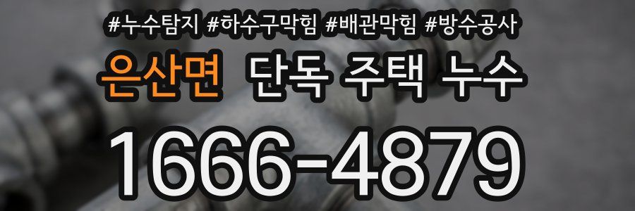 은산면 단독 주택 누수