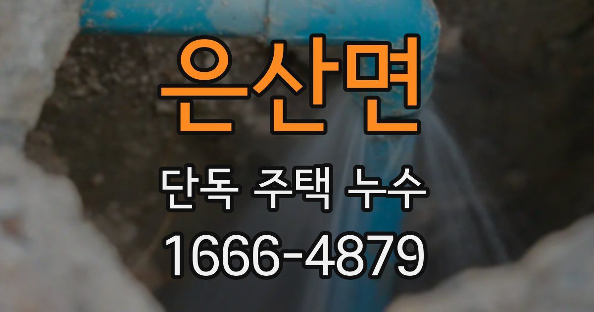 은산면 단독 주택 누수