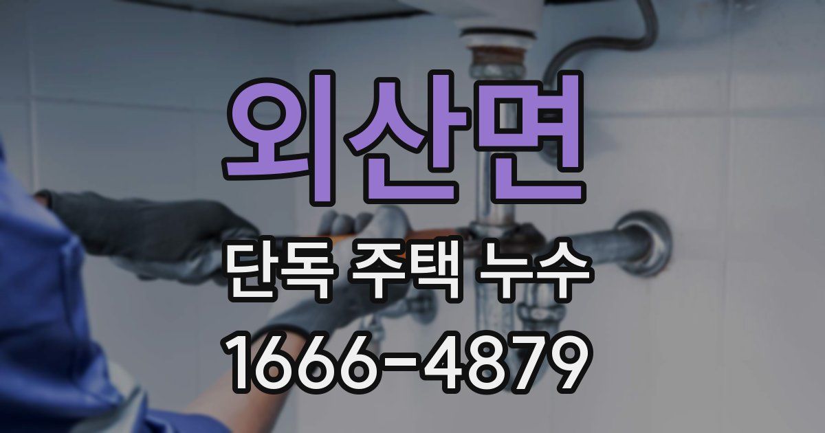 외산면 단독 주택 누수