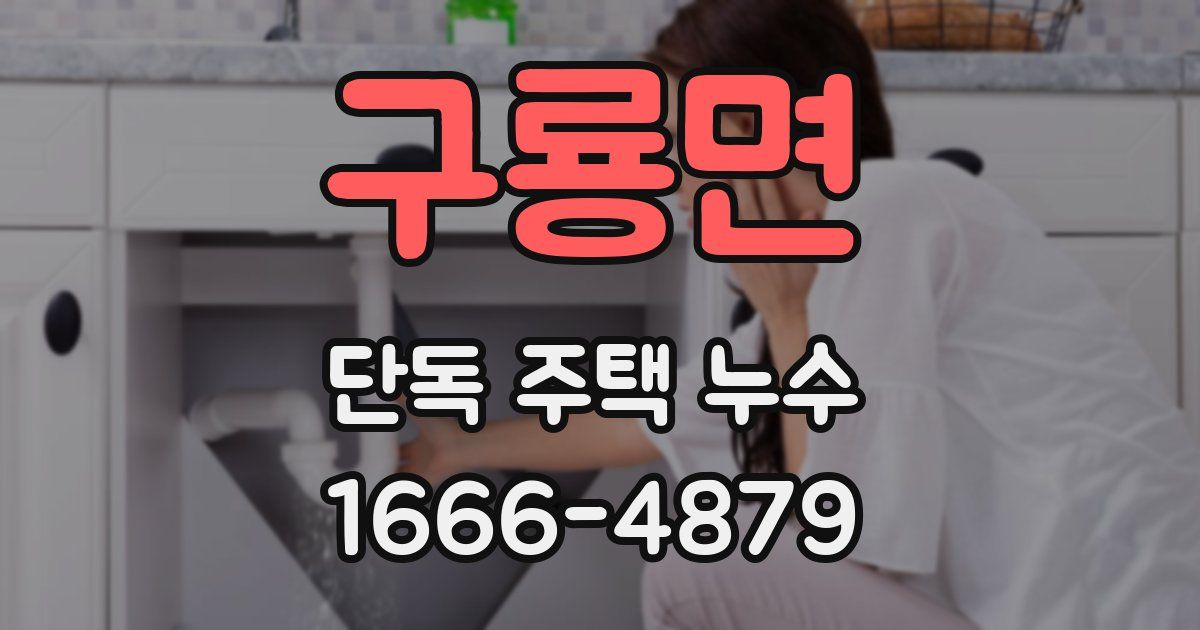 구룡면 단독 주택 누수