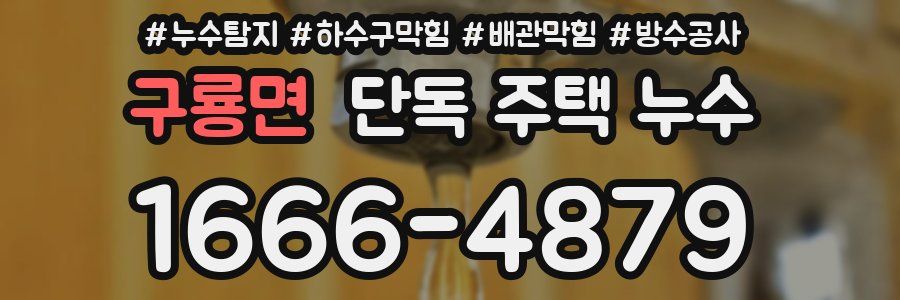 구룡면 단독 주택 누수