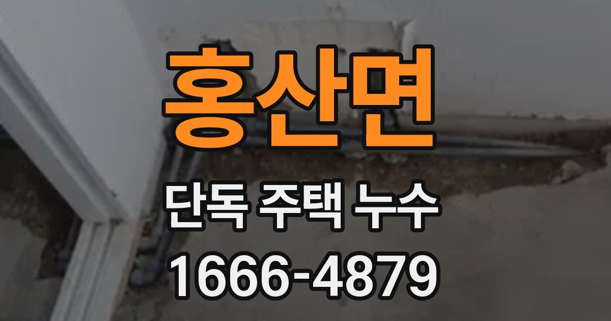 홍산면 단독 주택 누수