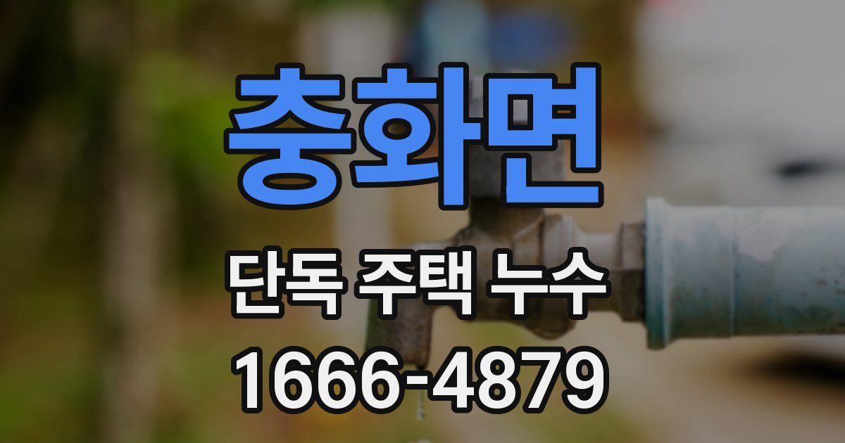 충화면 단독 주택 누수