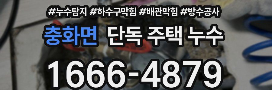 충화면 단독 주택 누수