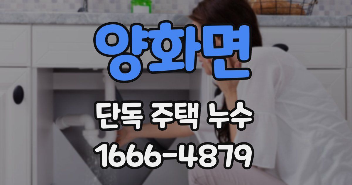 양화면 단독 주택 누수