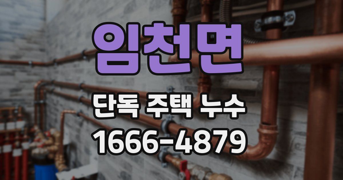 임천면 단독 주택 누수