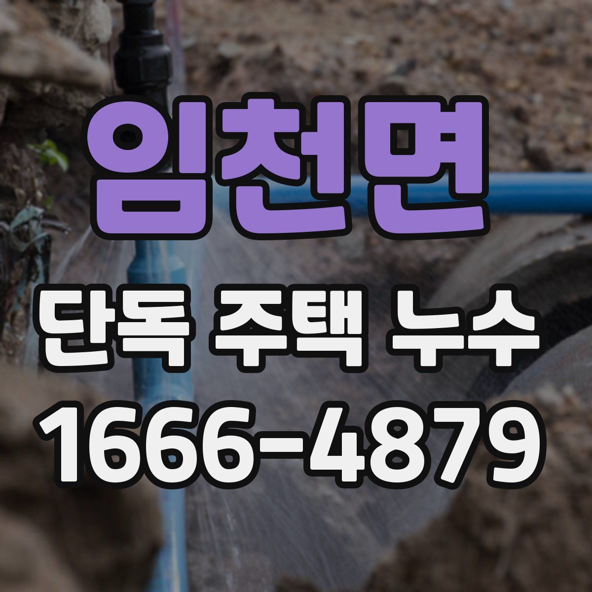 임천면 단독 주택 누수