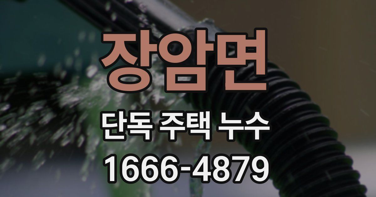 장암면 단독 주택 누수
