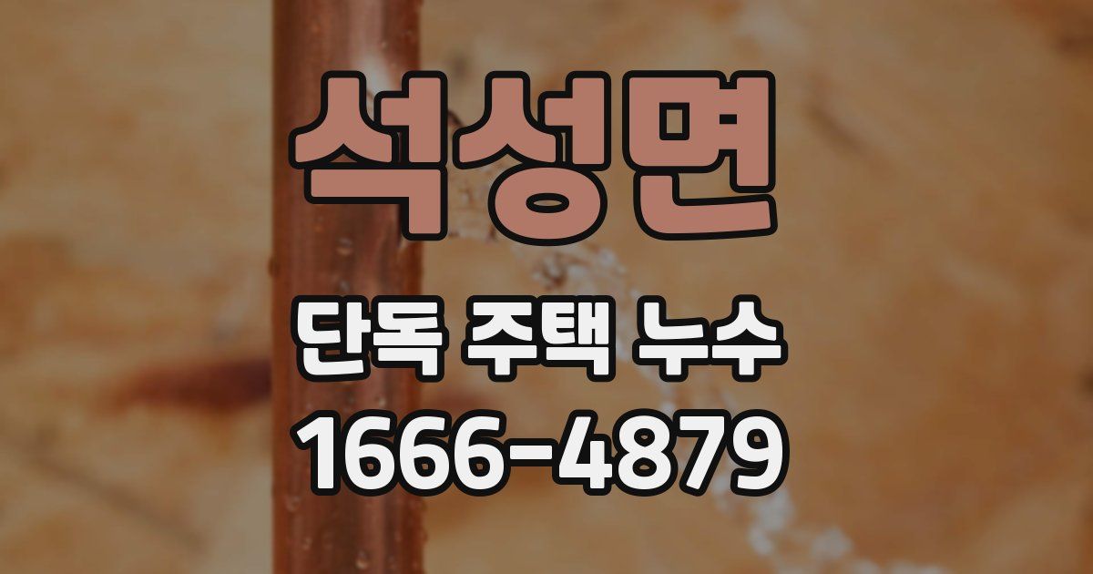 석성면 단독 주택 누수