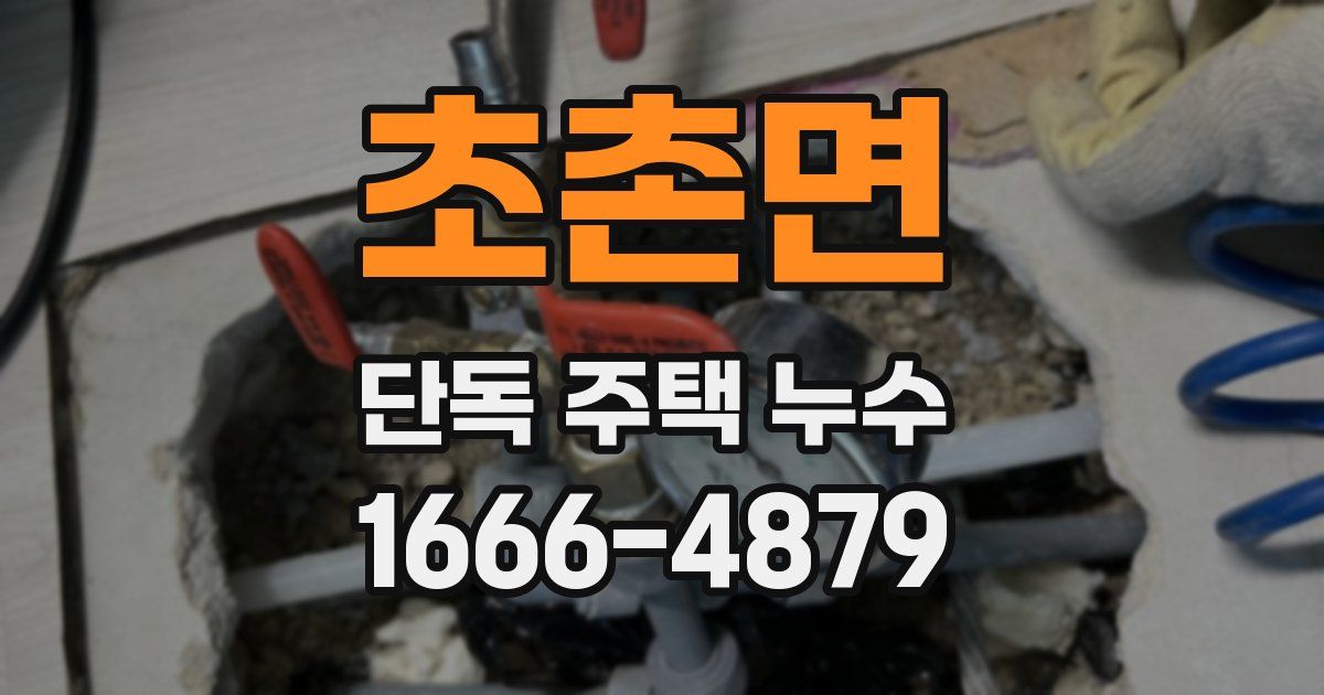 초촌면 단독 주택 누수