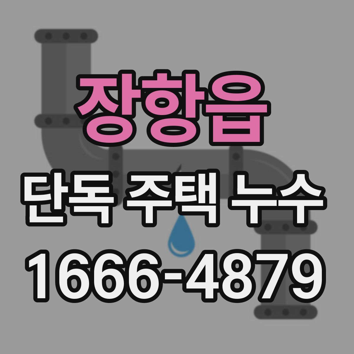 장항읍 단독 주택 누수