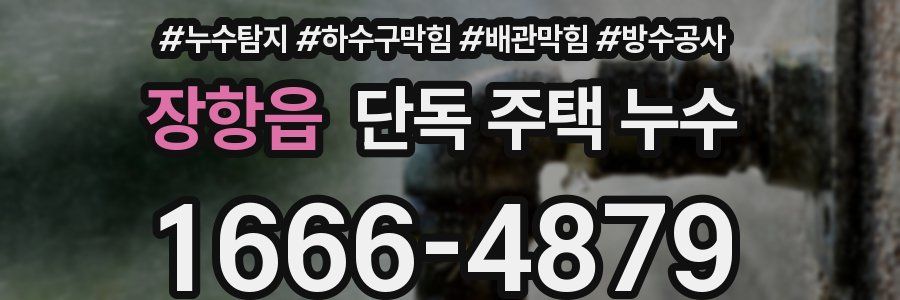 장항읍 단독 주택 누수