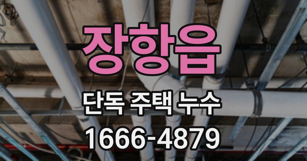 장항읍 단독 주택 누수
