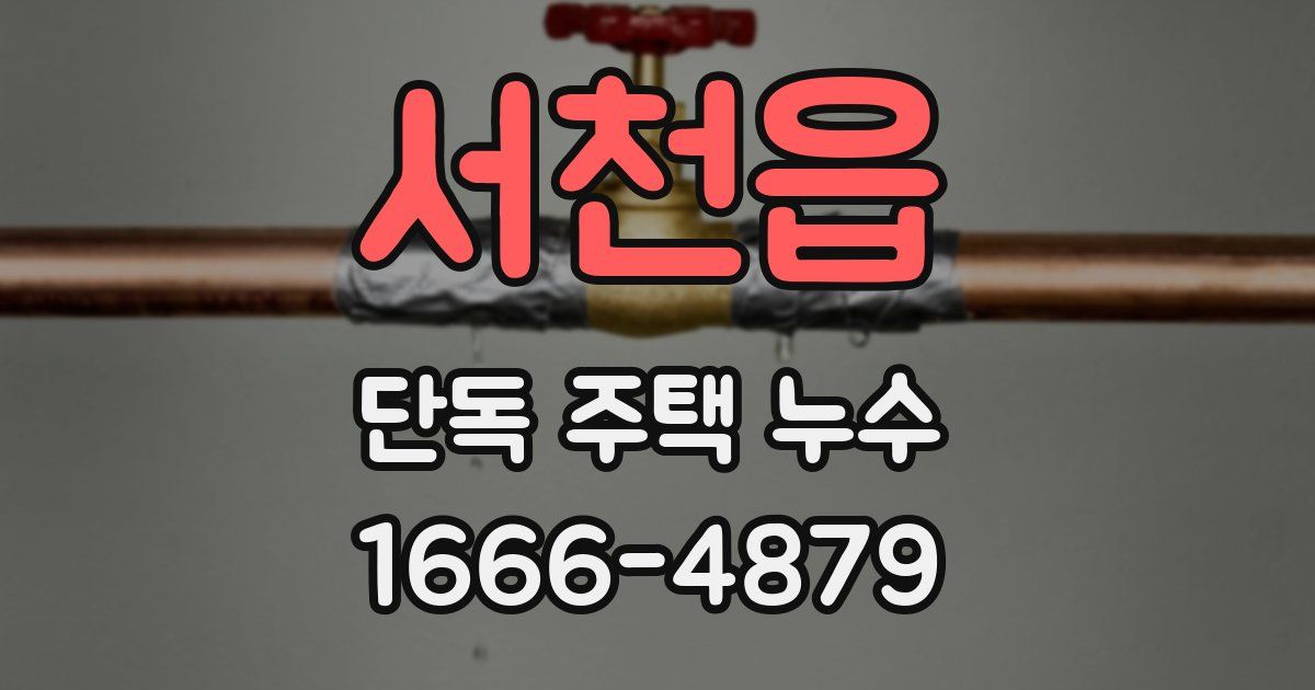서천읍 단독 주택 누수