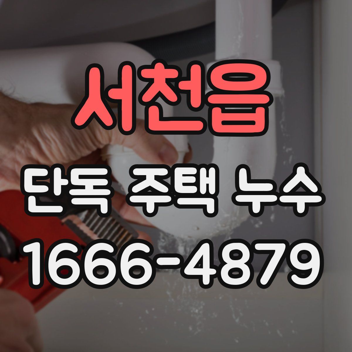 서천읍 단독 주택 누수