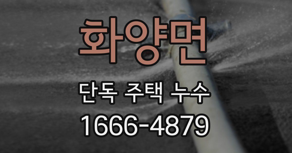 화양면 단독 주택 누수