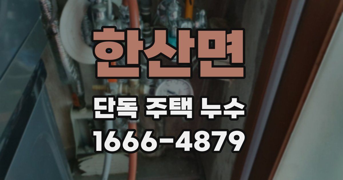 한산면 단독 주택 누수