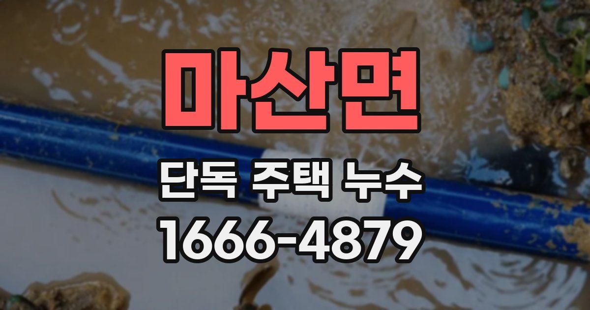 마산면 단독 주택 누수