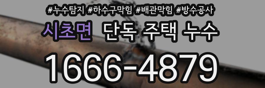 시초면 단독 주택 누수