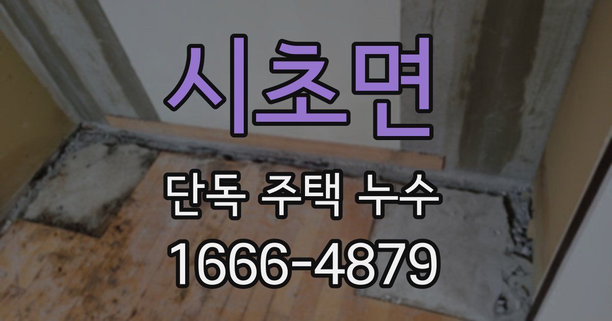 시초면 단독 주택 누수