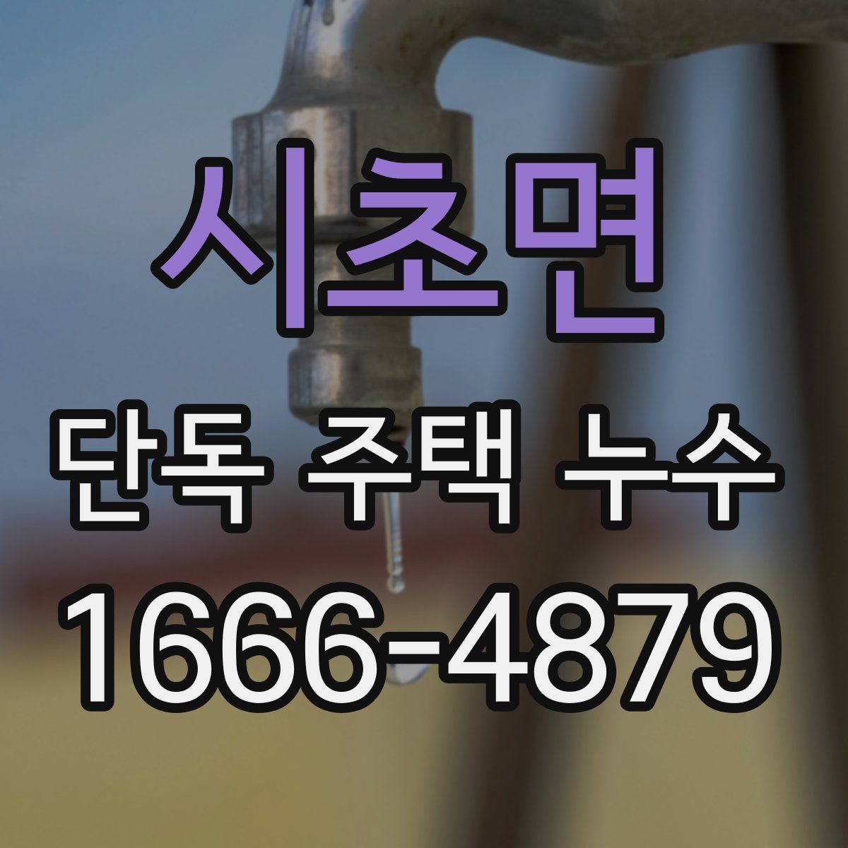 시초면 단독 주택 누수