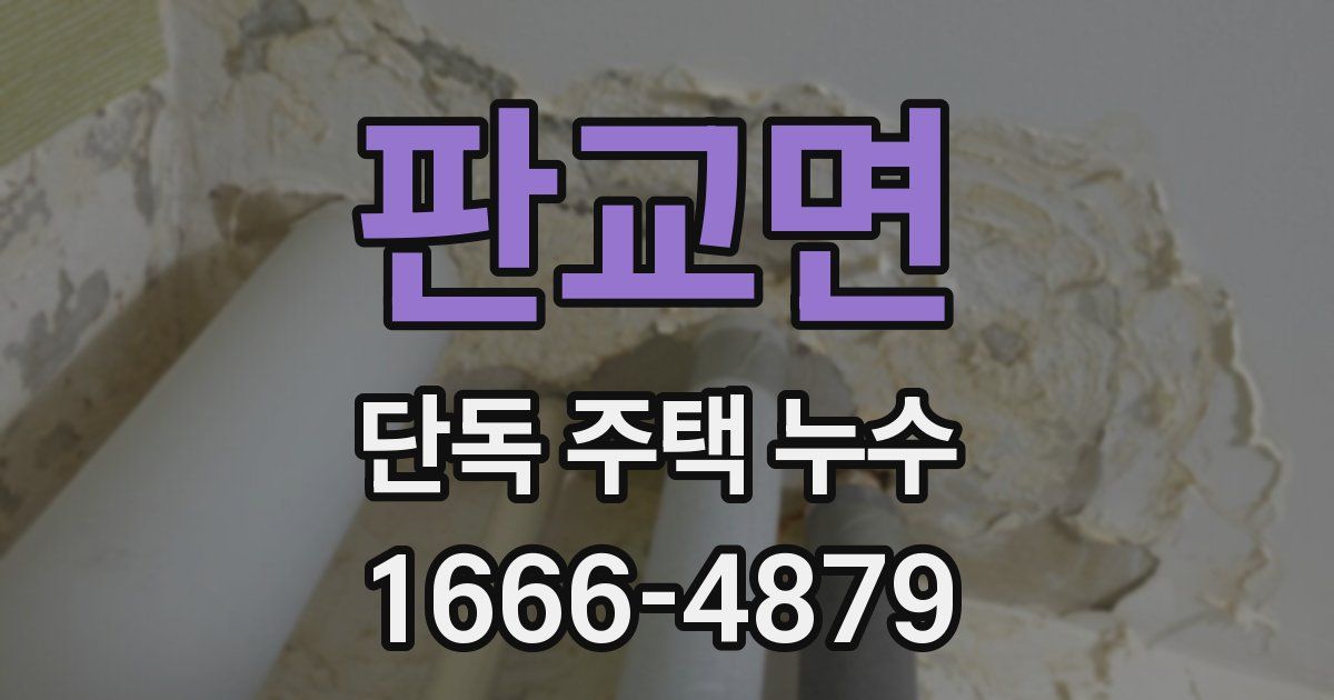 판교면 단독 주택 누수