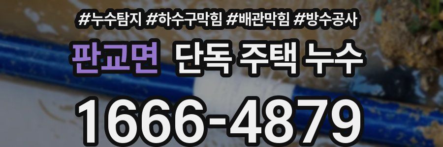 판교면 단독 주택 누수