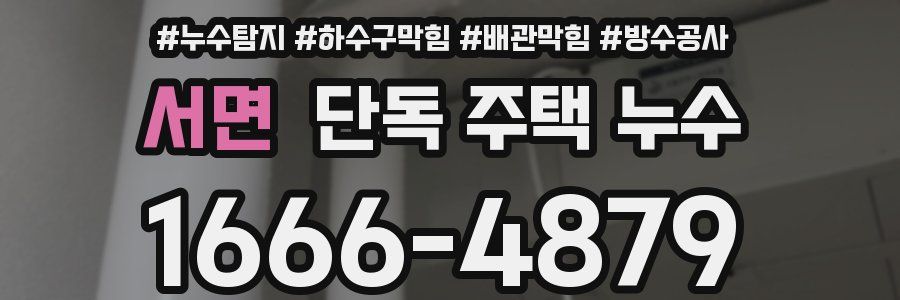 서면 단독 주택 누수