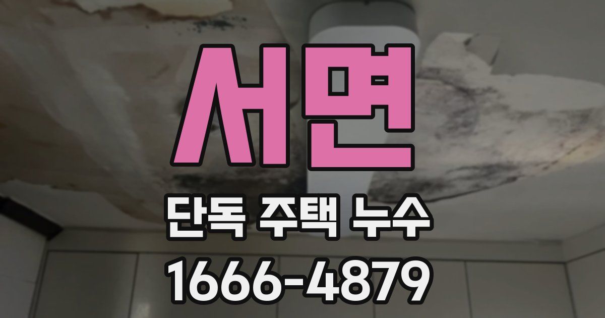 서면 단독 주택 누수