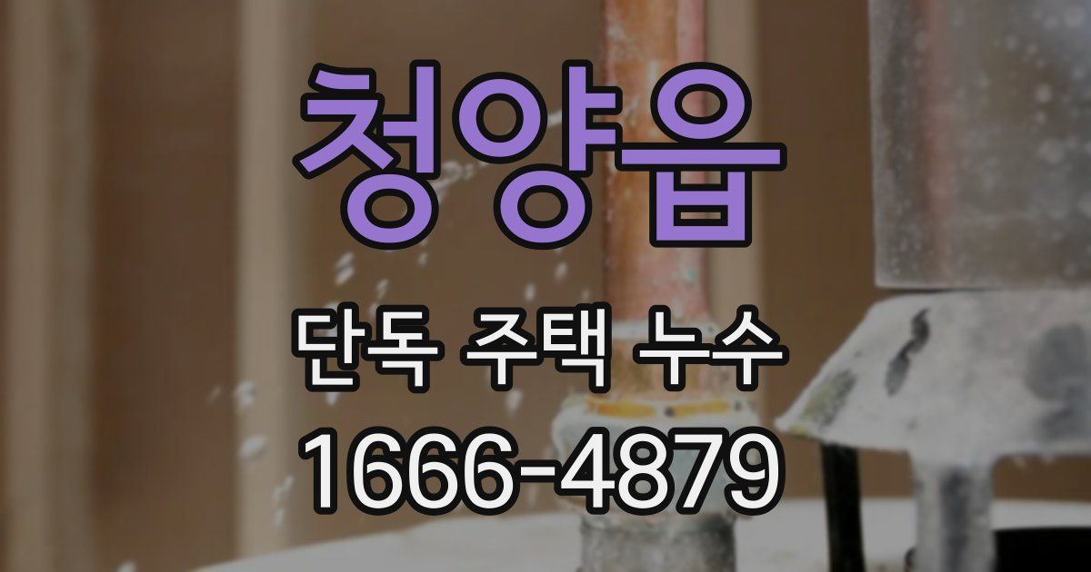 청양읍 단독 주택 누수