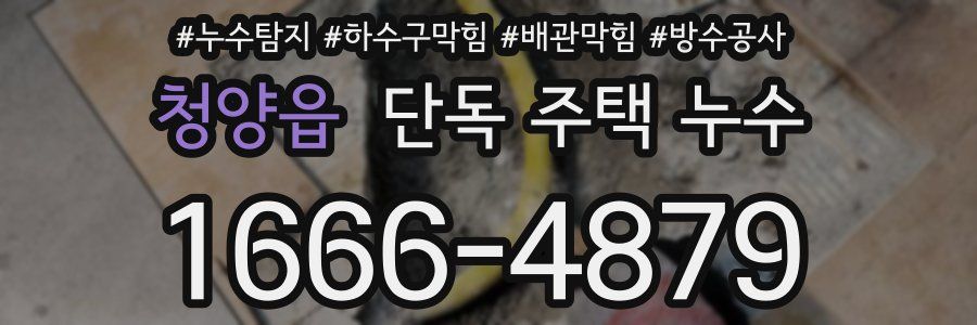 청양읍 단독 주택 누수
