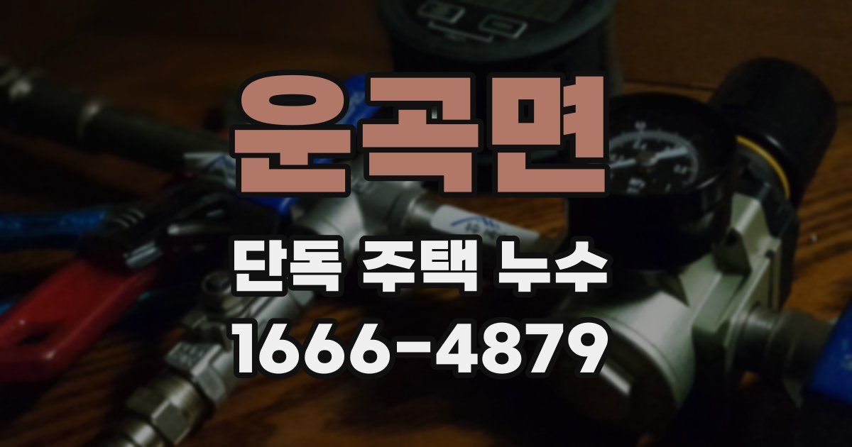 운곡면 단독 주택 누수