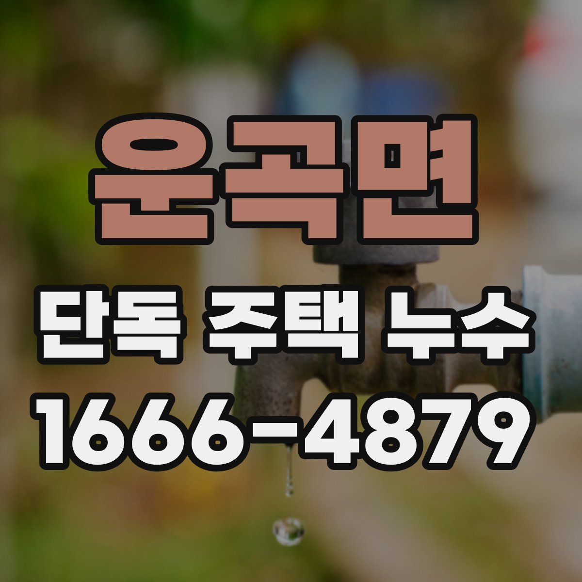 운곡면 단독 주택 누수