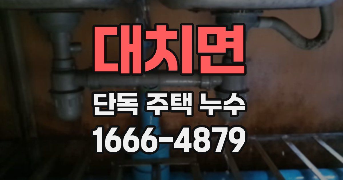 대치면 단독 주택 누수