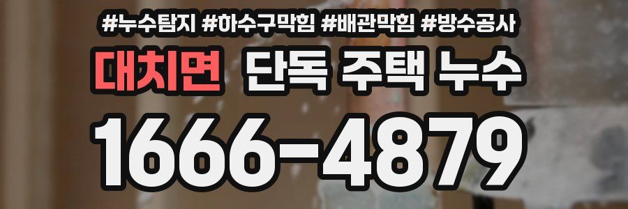 대치면 단독 주택 누수