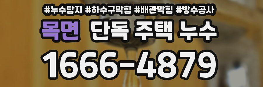 목면 단독 주택 누수