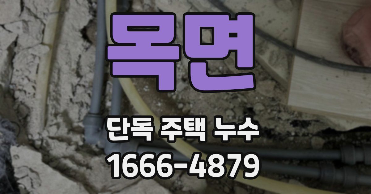 목면 단독 주택 누수