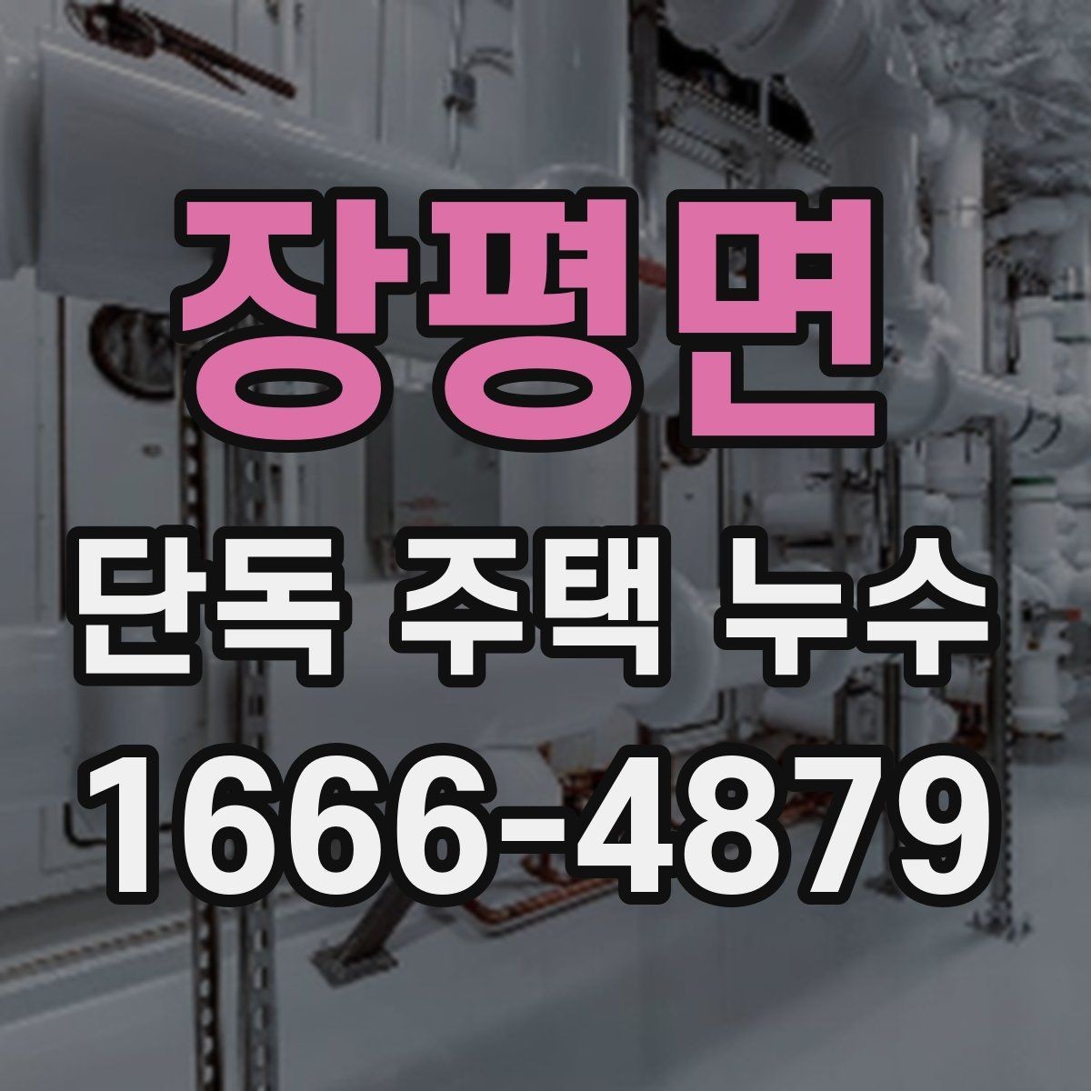장평면 단독 주택 누수 장기 방치를 피해야 하는 이유