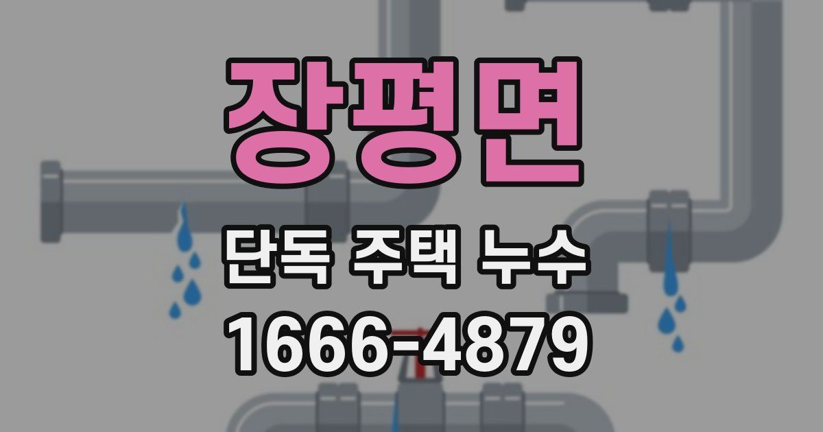 장평면 단독 주택 누수