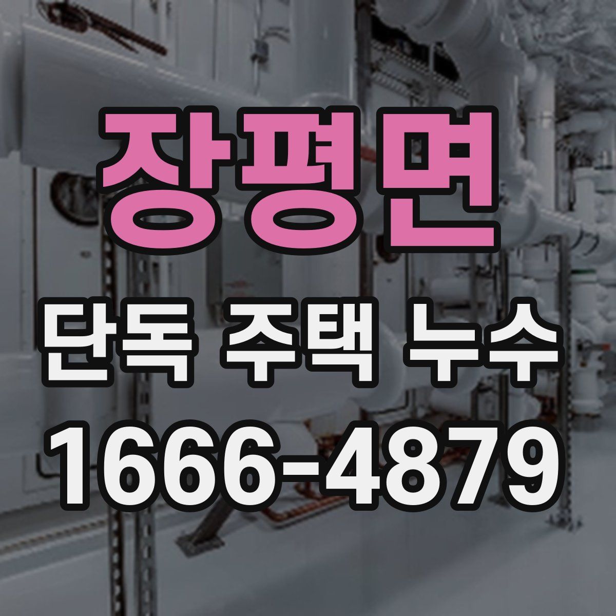 장평면 단독 주택 누수