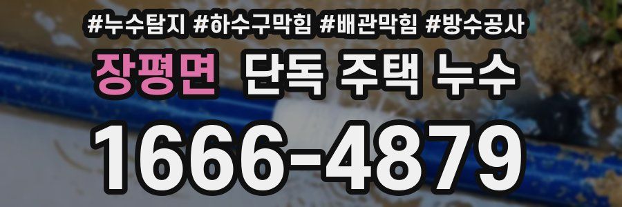 장평면 단독 주택 누수